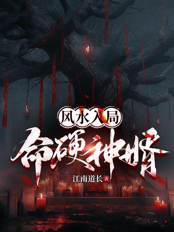 阴阳恶婿