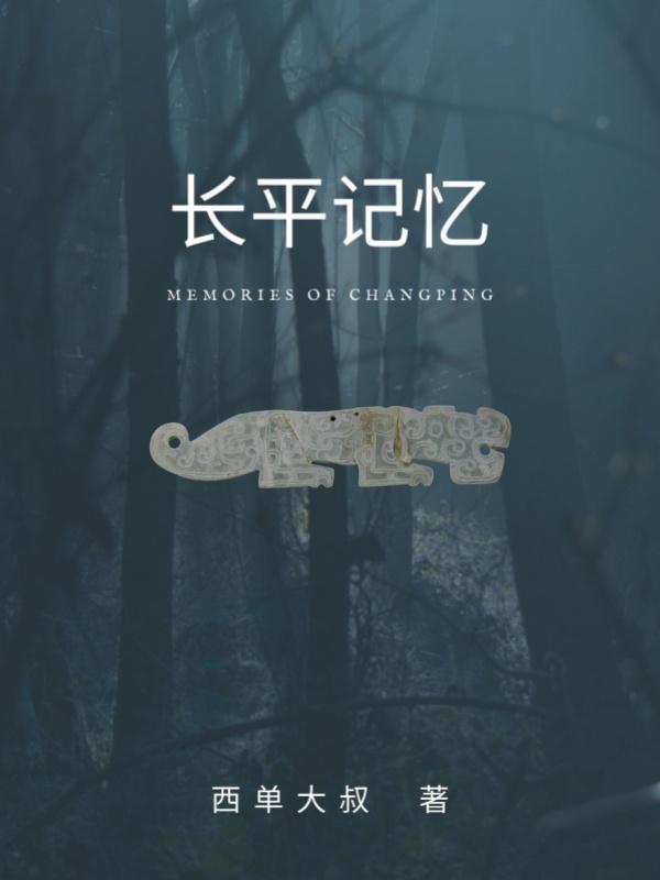 长平记忆